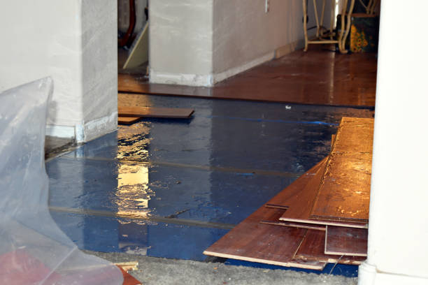 Professional Water Extraction technician working in Nuevo, CA